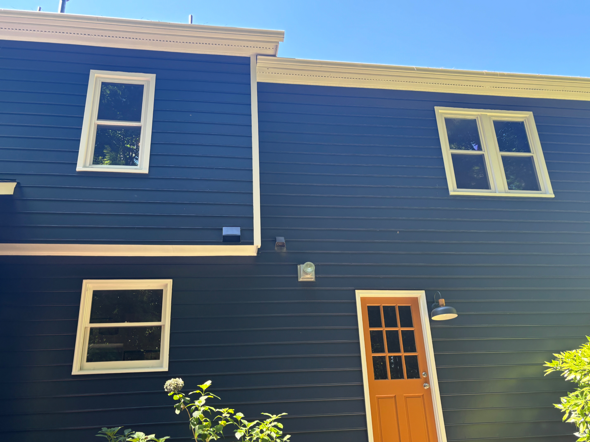 Back Door & Windows